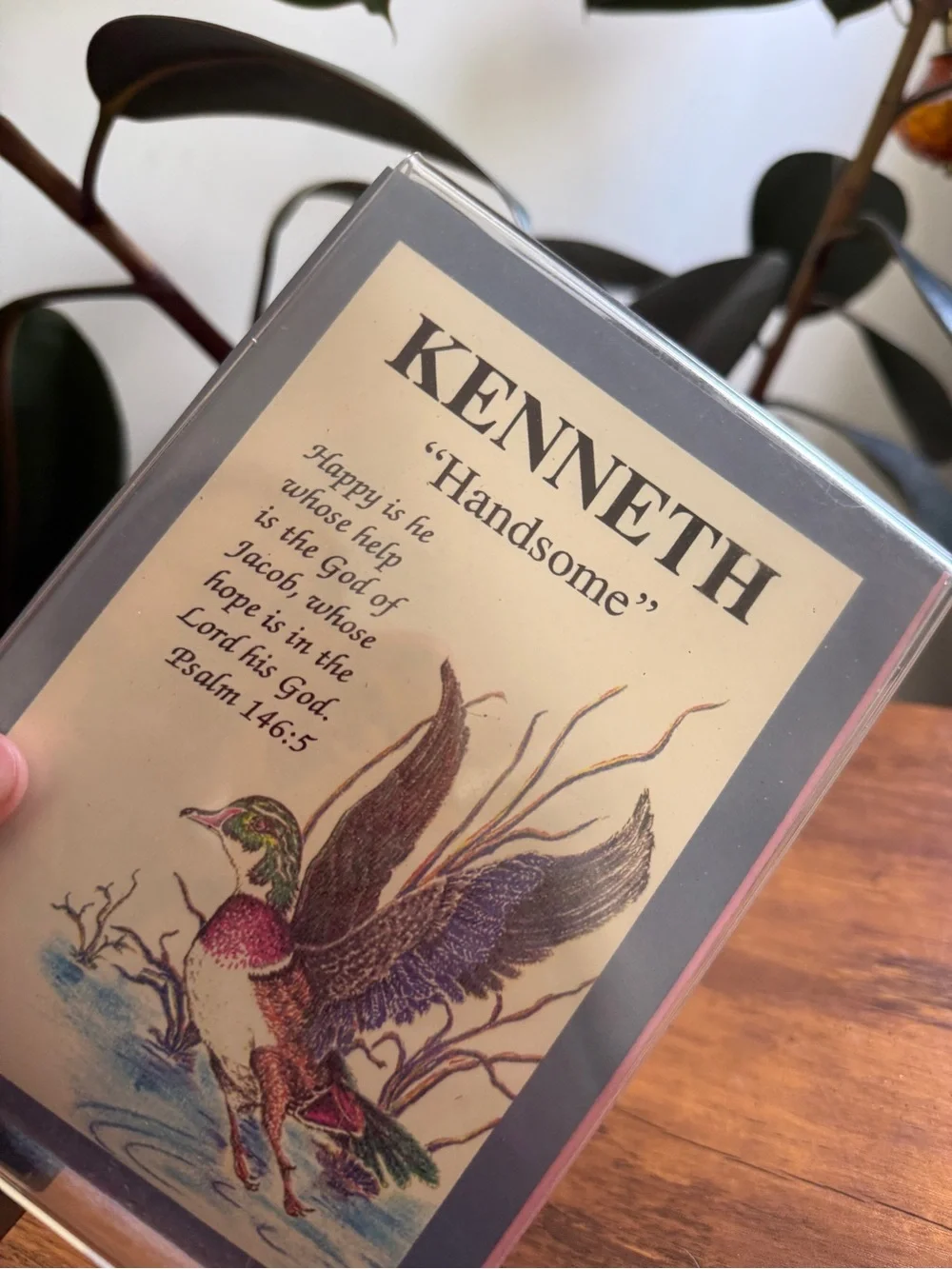KENNETH ‘Handsome' Framed Duck Print - Multicolor